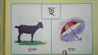 ব্যন্জ্ঞনবর্ণ দিয়ে শব্দ গঠন (Part-1)বাংলা ব্যন্জ্ঞনবর্ণযোগে শব্দ।শব্দ গঠন।