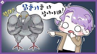 【김단대】 평화의 상징 비둘.. 닭둘기 ..!