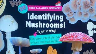 Home Ed: Mycology 5: Identifying Mushrooms