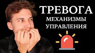  Делай эти простые шаги и ТРЕВОГА ПРОПАДЕТ! Meta Human