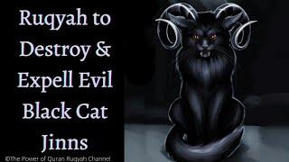 Ultimate Ruqyah to Destroy & Expell the Magic of Black Cat & Evil Cat Jinns from body,house & dreams