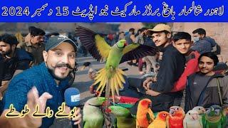 لاہور سنڈے برڈز مارکیٹ نیو اپڈیٹ پاکستان کی سب سے سستی مارکیٹ