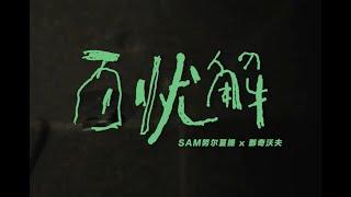 《百忧解》-HAS_SAM努尔夏提  / 那奇沃夫