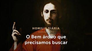 Homilia Diária | A ira nos impede de buscar o verdadeiro Bem (Quinta-feira da 30ª S.do Tempo Comum)