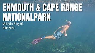 Exmouth & Cape Range Nationalpark | Australien • Weltreise Vlog 105