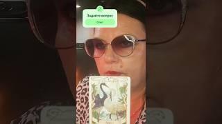сегодня ОН приедет гадание Таро