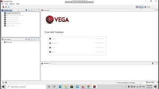 Automated scans using Vega Scanner