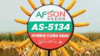 Afson Seeds | Research and Development Field Day | Spring 2023