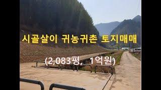 정선부동산 정선토지 "시골살이 귀농귀촌토지매매" 1억원 정선싼땅 오지땅 농사용토지/정선대복부동산