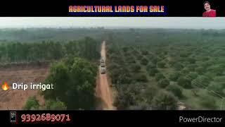 Genuine property||Lands for sale||Telangana real estate||lands in Nalgonda||