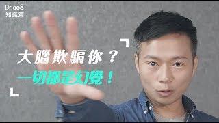 【Dr.008 眼鏡教室】大腦欺騙你？一切都是幻覺！