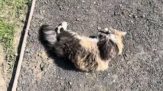 Поїхали на базар, змерзла, купила кофтинку