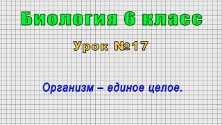 Биология 6 класс (Урок№17 - Организм – единое целое.)