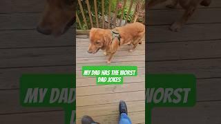 My Puppy Pyro Doesn't Like My Dad Jokes