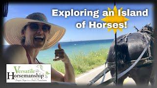 Exploring An Island Of Horses! Mackinac Island part 2 // Versatile Horsemanship