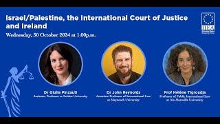 Israel and Palestine, The International Court of Justice and Ireland