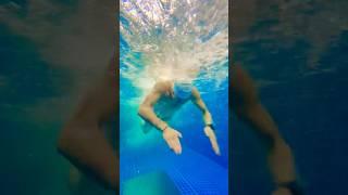 접영에 도움이 되는 수중영상 보실까요?🫣 #수영 #접영 #수영레슨 #수영장 #swim #swiming #swimingpool #접영 #접영영상 #butterfly