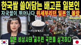 [해외감동사연]한국쌀 사재기하는 일본인들, 일본 정부 경악한 이유는? 초유의 사태 전말