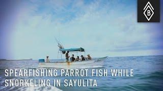 Spearfishing Parrot Fish While Snorkeling In Sayulita