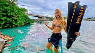 FREE Snorkeling *No Boat Required* Jupiter, Florida! (Catos Bridge)