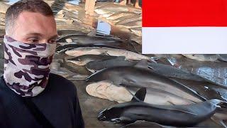 INVESTIGATING INDONESIA'S ILLEGAL SHARK INDUSTRY 