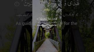 هدى و رحمة للمحسنين