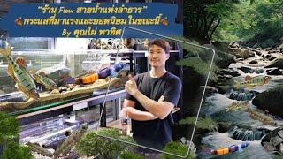 ร้าน Flow ตู้ลำธาร & ปลาลำธารน้ำตกEp.1