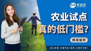 加拿大农业试点移民项目 | 只要高中学历，语言CLB4，但它真的是低门槛吗？资深持牌移民顾问深度解析