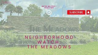 Neighborhood Watch: The Meadows