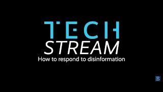 Alina Polyakova on responding to disinformation