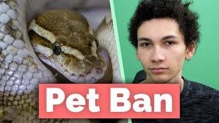 US Government is About to Ban the Reptile Trade (Yes, really)