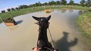 GoPro: Tullymurry Fifi (Intermediate Championship | 2024 American Eventing Championships)