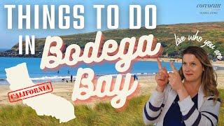 Things to do in Bodega Bay