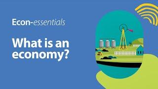 What is an economy?