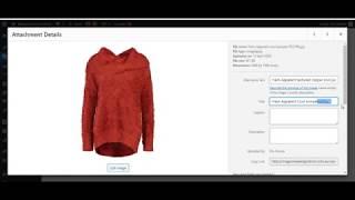 Adding products to WooCommerce in a batch. 3) IMAGES: alt text and titles