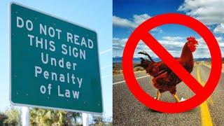 The Weirdest Laws