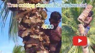 Tree#cutting#channel#trending#channel#kanyakumari8248851253