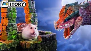 ️ Hamster vs Dragon in the Dungeons & Dragons Maze ️ Homura Ham Pets