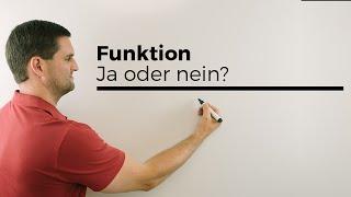 Funktion ja oder nein? Einem X-Wert wird ein Y-Wert zugeordnet! | Mathe by Daniel Jung