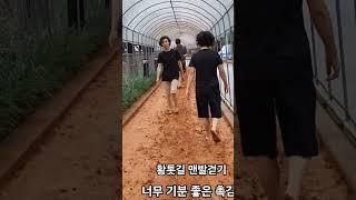 걸어서 구구 팔팔