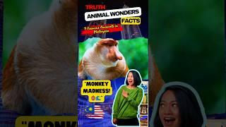 amazing proboscis monkey facts for every animal lover #animalwonders