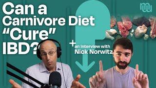 Carnivore Diet for Inflammatory Bowel Disease: New Source of Hope? With Nick Norwitz, PhD