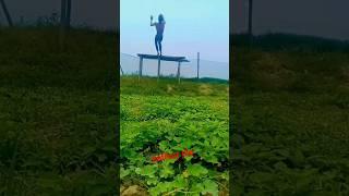 back flip Indian flipper juned jamping Rahul flipper rohit flipper #youtubeshorts #shortsvideo