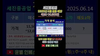 세진중공업_주가 전망(주식 급등주 추천_2025년 6월 예상)｜매수가·손절가· 매도가(목표가) 총정리 #shorts #주식급등신호 #주식초보