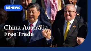 China pushing free trade at G20 ahead of Trump presidency | ABC NEWS