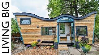 Natural-Built Tiny House Incorporates Biophilic Design And A Living Roof 