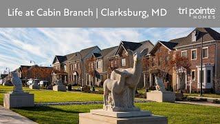 Life at Cabin Branch | New Homes in Clarksburg, MD by Tri Pointe Homes