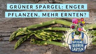 Spargel pflanzen im Rahmenbeet - enger pflanzen, mehr ernten!