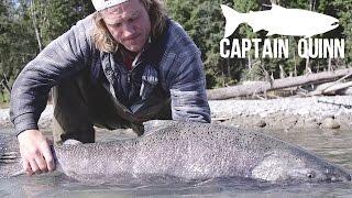 Fly Fishing King Salmon in British Columbia | Captain Quinn