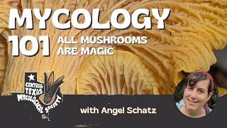 Mycology 101